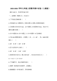 河南省鄢陵县彭店镇2025-2026学年九年级上学期期中数学试题（含答案）