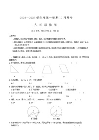 新疆维吾尔自治区阿克苏地区库车市2025届九年级上学期12月月考数学试卷(含答案)