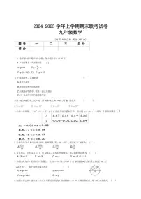 河南省平顶山市鲁山县第七教研区2024-2025上学期九年级数学期末联考试卷(含图片答案)