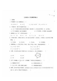 河北省石家庄市第二十八中学2025-2026学年九年级上学期12月月考数学试题(图片版,含答案)
