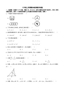 贵州省遵义市2025年八年级上学期期末检测数学试题附答案