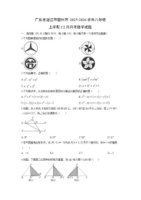 2025-2026学年广东省湛江市雷州市八年级上学期12月月考数学试卷（学生版）