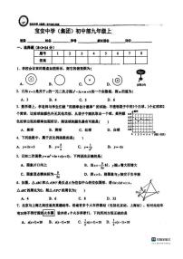 广东省深圳市宝安中学2025-2026学年上学期九年级数学月考卷（图片版，无答案）