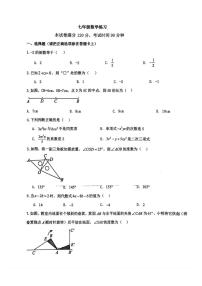 河北省石家庄市第二十八中学2025--2026学年上学期七年级数学12月月考试卷（无答案）