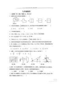 广东省深圳市龙岗区龙岭初级中学2025-2026学年上学期九年级数学月考试题（无答案）