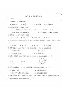 河北省石家庄市第二十八中学2025-2026学年九年级上学期12月月考数学试题
