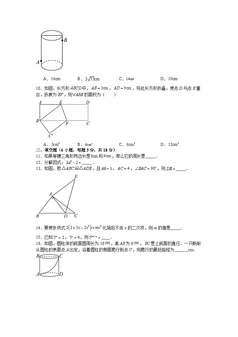 华东师大版2025—2026学年八年级上册数学期末考试复习卷第2页