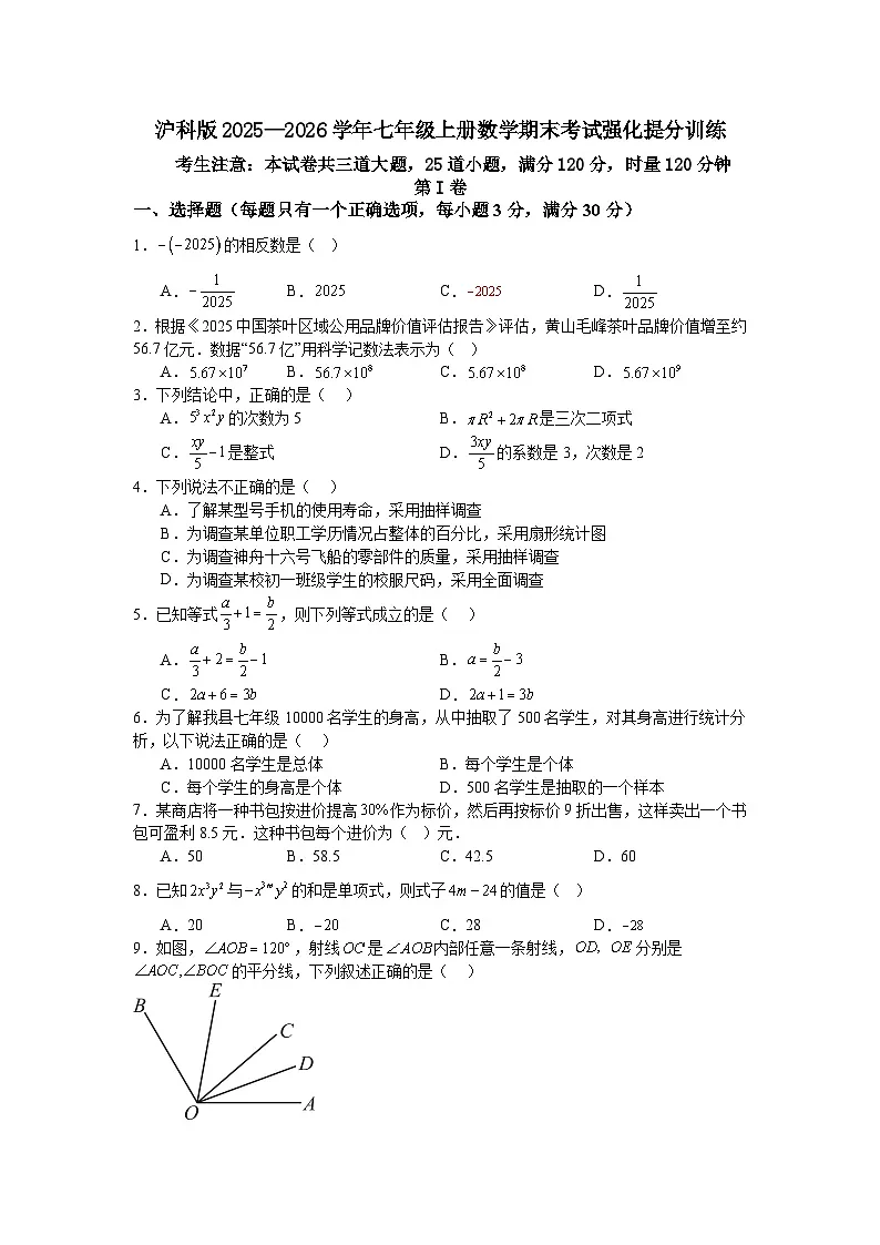 沪科版2025—2026学年七年级上册数学期末考试强化提分训练第1页