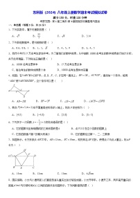 苏科版（2024）八年级上册数学期末考试模拟试卷（含答案解析）
