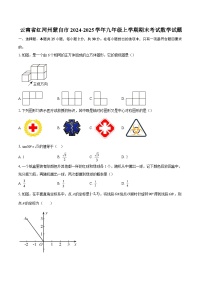 云南省红河州蒙自市2024-2025学年九年级上学期期末考试数学试题-自定义类型