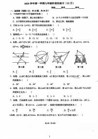浙江省杭州市上城区惠兴中学2025-2026学年九年级上学期12月月考数学试卷