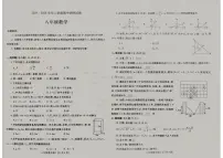 河南省平顶山市鲁山县2024-2025学年上学期八年级期中数学试卷