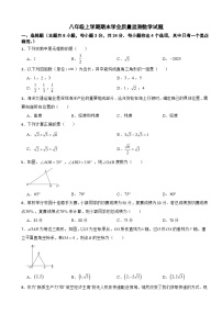 广东省深圳市福田区2025年八年级上学期期末学业质量监测数学试题附答案