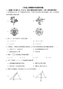 浙江省宁波市余姚市2025年八年级上学期期末考试数学试题附答案