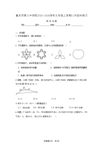 重庆市第八中学校2025-2026学年九年级上学期11月定时练习数学试题