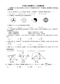 湖北省武汉市东湖生态旅游风景区小梅花学校2025-2026学年上学期12月考九年级数学试卷