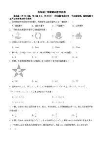 湖北省武汉市青山区2025年九年级上学期期末数学试卷附答案