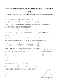 2025-2026学年四川省眉山市东坡区苏辙中学九年级（上）期末数学试卷-自定义类型