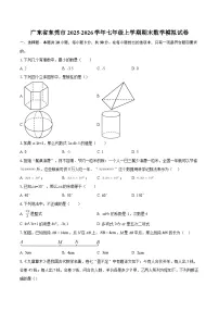 广东省东莞市2025-2026学年七年级上学期期末数学模拟试卷-自定义类型