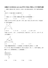 安徽省六安市裕安区2025-2026学年八年级上学期12月月考数学试题-自定义类型