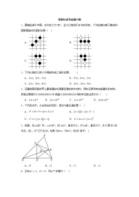 2025-2026学年人教版数学八年级上册易错知识单选提升练（含答案）