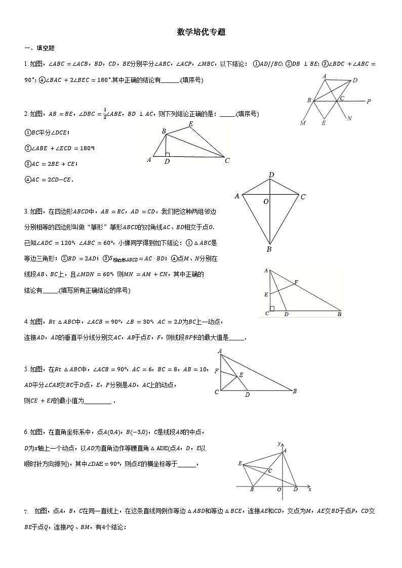 期末压轴题精炼 专项训练 2025-2026学年 人教版八年级数学上册(含答案)第1页