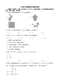 浙江省台州市路桥区2025年九年级上学期期末考试数学试卷附答案