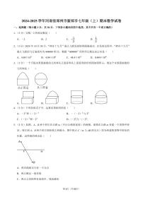 2024-2025学年河南省郑州市新郑市七年级（上）期末数学试卷含答案