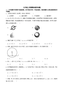 湖北省武汉市江岸区2025年九年级上学期期末数学试题附答案