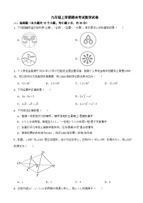湖南省长沙2025年九年级上学期期末考试数学试卷附答案