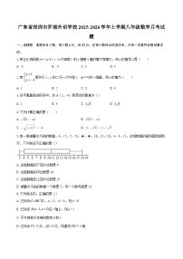 广东省深圳市罗湖外语学校2025-2026学年上学期八年级数学月考试题-自定义类型