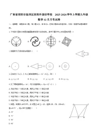 广东省深圳市盐田区深圳外国语学校　2025-2026学年上学期九年级数学12月月考试卷-自定义类型