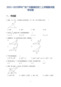 2022~2023学年广东广州番禺区八年级上学期期末数学试卷（含答案)