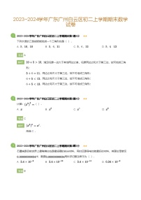 广东省广州白云区2023-2024学年八年级上学期期末数学试卷(含答案)