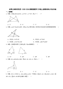 全等三角形的性质—2025-2026浙教版数学八年级上册期末核心考点专练