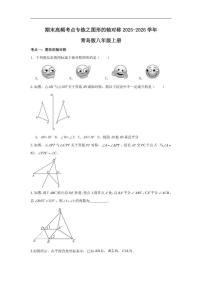 2025-2026学年青岛版八年级数学上册期末高频考点专练:图形的轴对称