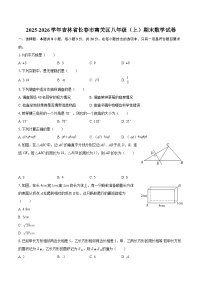 2025-2026学年吉林省长春市南关区八年级(上)期末数学试卷-自定义类型