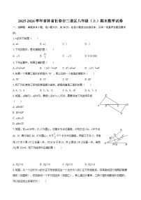 2025-2026学年吉林省长春市二道区八年级（上）期末数学试卷-自定义类型