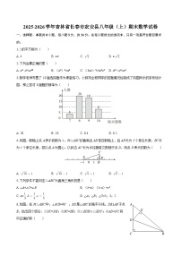 2025-2026学年吉林省长春市农安县八年级（上）期末数学试卷-自定义类型