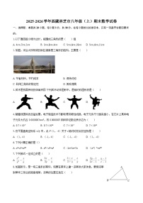 2025-2026学年西藏林芝市八年级（上）期末数学试卷-自定义类型