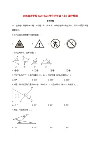 安徽省定远育才学校2025-2026学年八年级（上）期中检测数学试卷 [含答案]