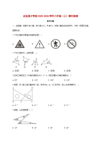 安徽省定远育才学校2025-2026学年八年级（上）期中检测数学试卷 [含答案]