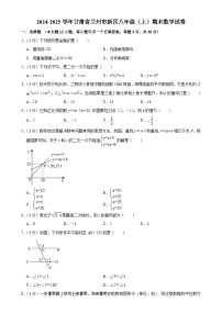 甘肃省兰州市新区2024-2025学年八年级上学期期末数学试卷-A4