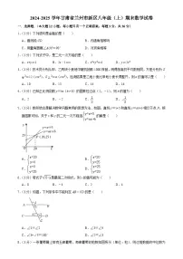 甘肃省兰州市新区2024-2025学年八年级上学期期末数学试卷-A4