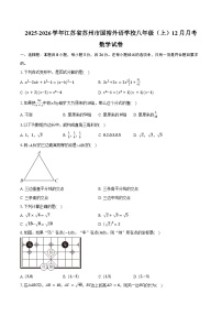 2025-2026学年江苏省苏州市相城区苏州国裕外语学校八年级（上）12月月考数学试卷（含答案）