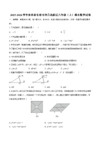 2025-2026学年吉林省长春市净月高新区八年级（上）期末数学试卷-自定义类型