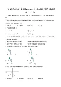广东省深圳市宝安中学集团2025-2026学年七年级上学期月考数学试卷（12月份）-自定义类型