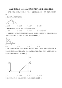 云南省曲靖地区2025-2026学年上学期八年级期末模拟卷数学(含解析)