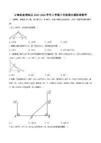 云南省曲靖地区2025-2026学年上学期八年级期末模拟卷数学(含解析)