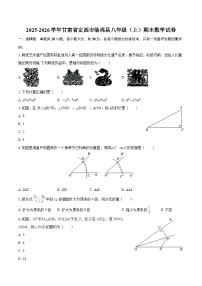 2025-2026学年甘肃省定西市临洮县八年级(上)期末数学试卷-自定义类型